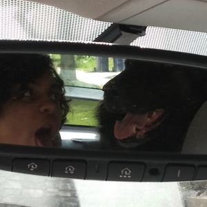 Meet your Posher, Shannon